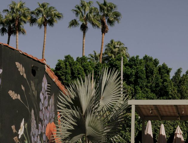 A backyard scene with palm trees, a mural, poolside chairs, umbrellas, and various plants under a clear sky.