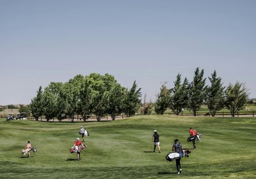People on a grassy field, possibly a golf course, carrying bags under a clear sky with trees in the background.